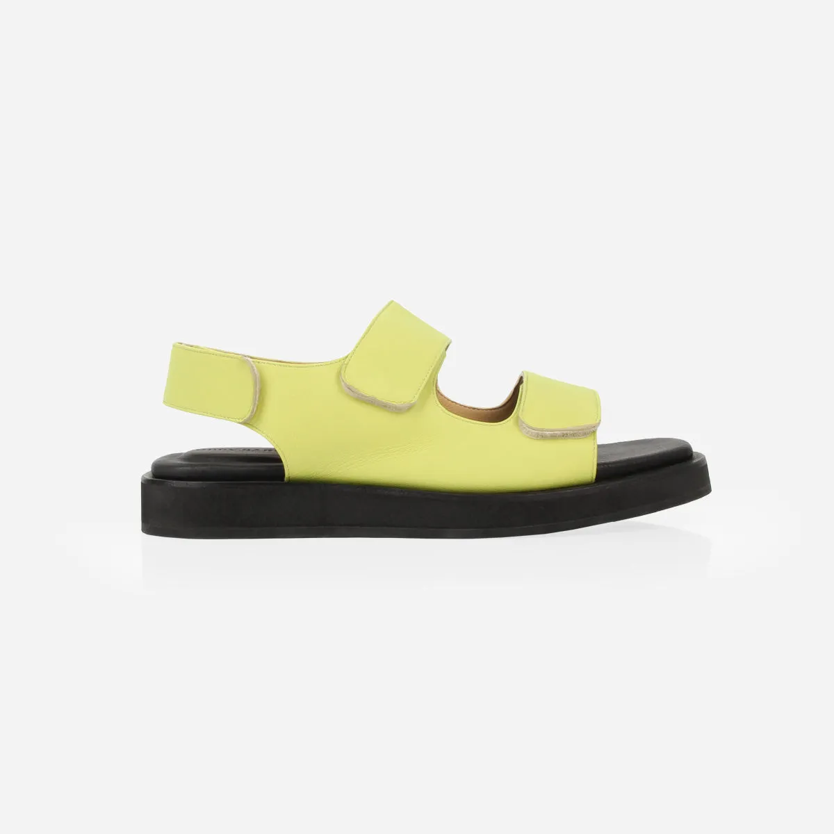 The Wanderlust 2.0 Citrus